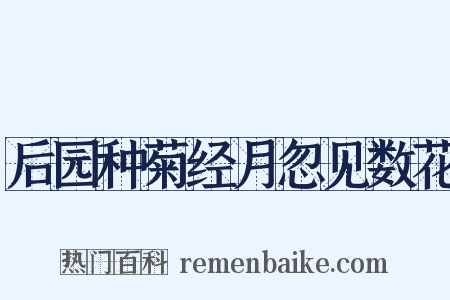 后园种菊经月忽见数花是什么意思的图片